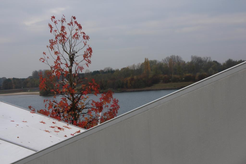 Sailcenter Limburg Ostello Kinrooi Esterno foto